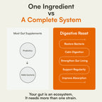 Digestive Reset