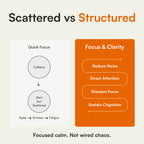 Focus & Clarity