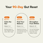 Digestive Reset