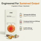 Rise & Energize