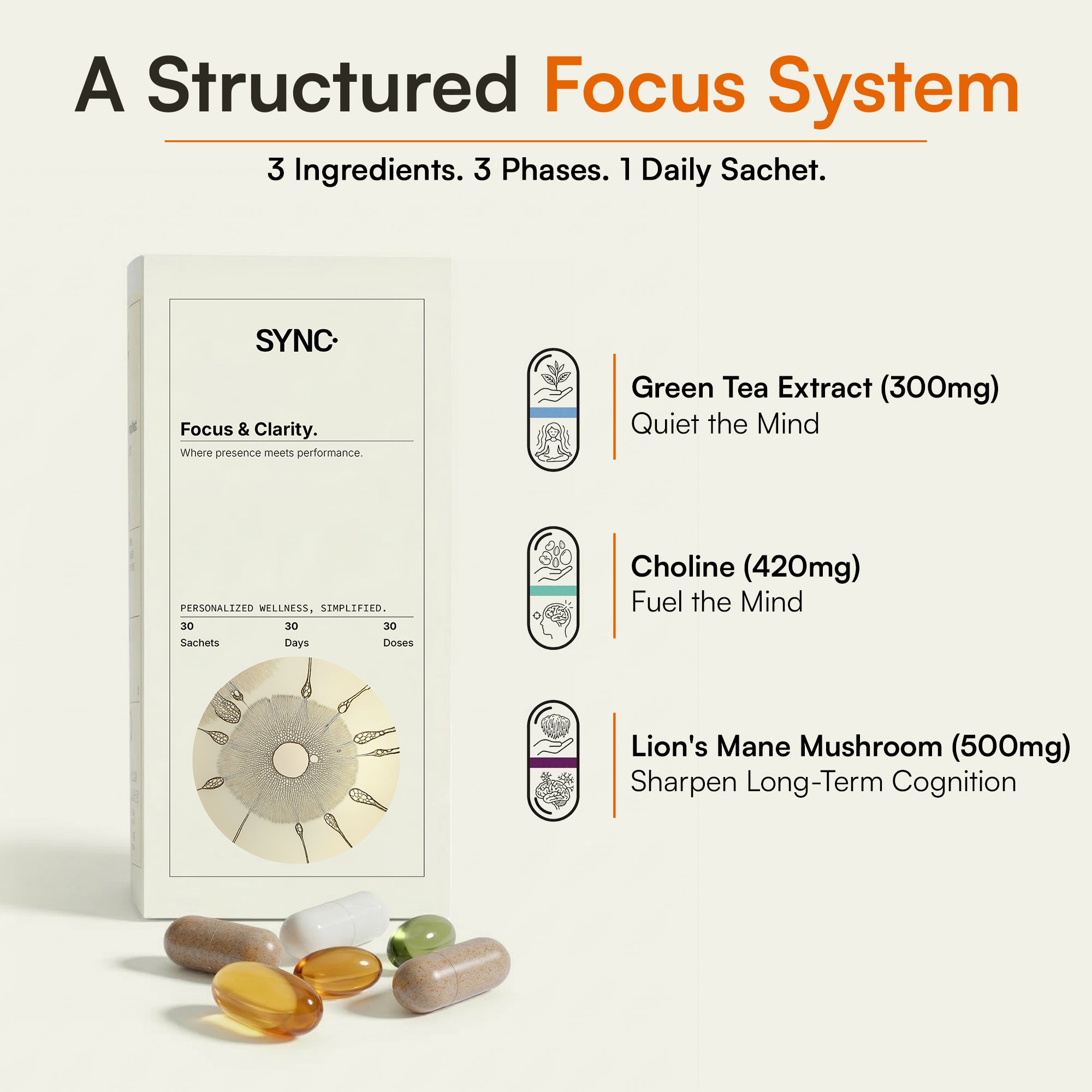 Focus & Clarity
