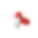 rowimage3 Image